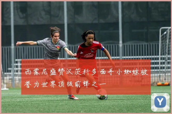 西蒙尼盛赞汉茨科多面手小蜘蛛被誉为世界顶级前锋之一