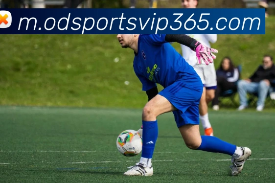 od体育平台生态图